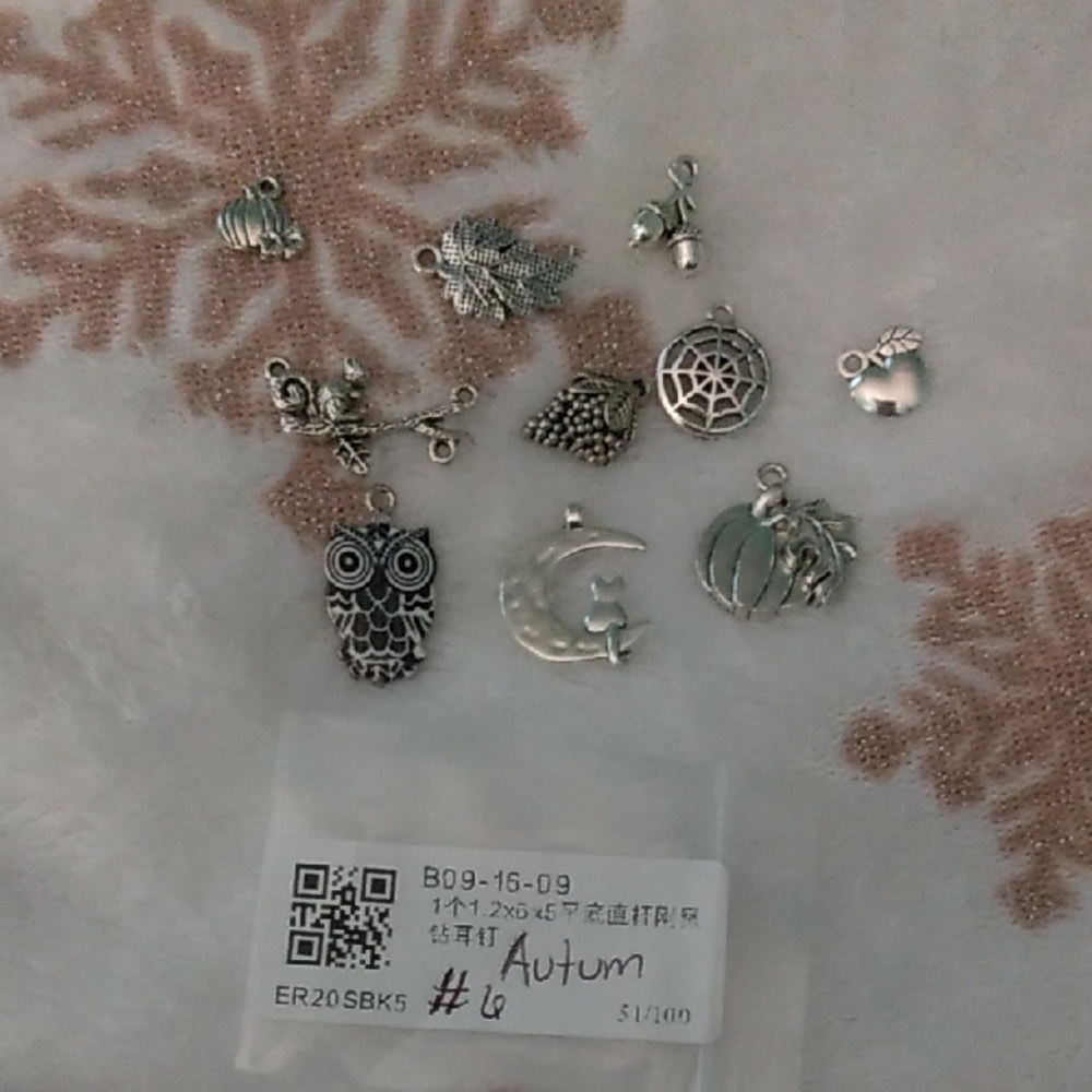 Silver Autumn Themed Charms Set